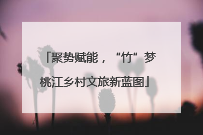聚势赋能，“竹”梦桃江乡村文旅新蓝图