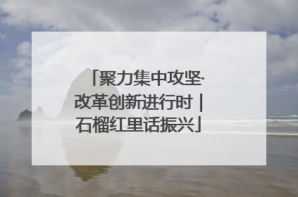 聚力集中攻坚·改革创新进行时｜石榴红里话振兴