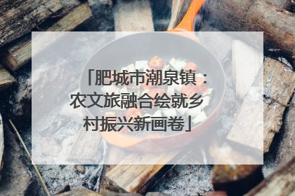 肥城市潮泉镇：农文旅融合绘就乡村振兴新画卷