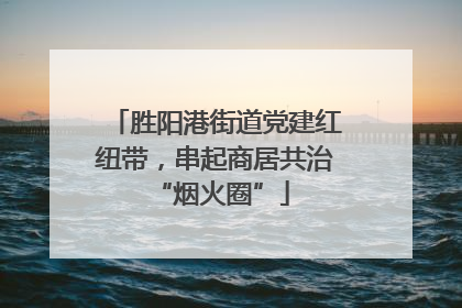 胜阳港街道党建红纽带，串起商居共治 “烟火圈”