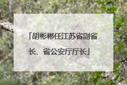 胡彬郴任江苏省副省长、省公安厅厅长