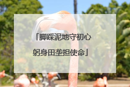 脚踩泥地守初心 躬身田垄担使命