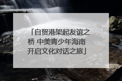 自贸港架起友谊之桥 中美青少年海南开启文化对话之旅