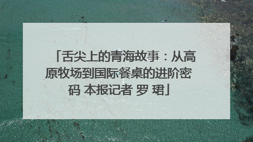 舌尖上的青海故事：从高原牧场到国际餐桌的进阶密码 本报记者 罗 珺