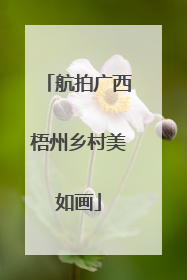 航拍广西梧州乡村美如画