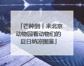 芒种到丨来北京动物园看动物们的夏日纳凉图鉴