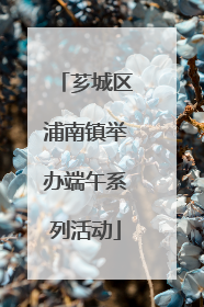 芗城区浦南镇举办端午系列活动