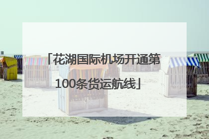 花湖国际机场开通第100条货运航线