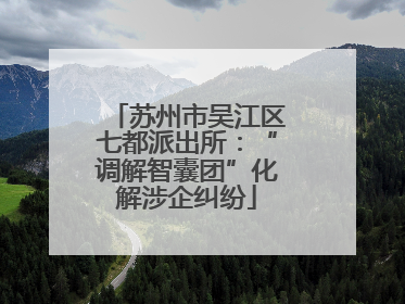 苏州市吴江区七都派出所：“调解智囊团”化解涉企纠纷