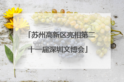 苏州高新区亮相第二十一届深圳文博会
