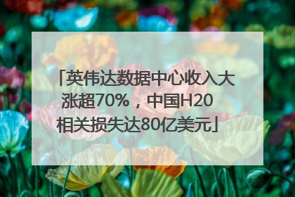 英伟达数据中心收入大涨超70%，中国H20相关损失达80亿美元