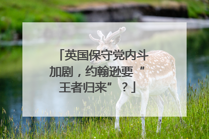 英国保守党内斗加剧，约翰逊要“王者归来”？