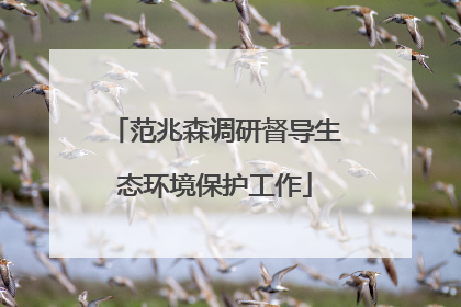 范兆森调研督导生态环境保护工作