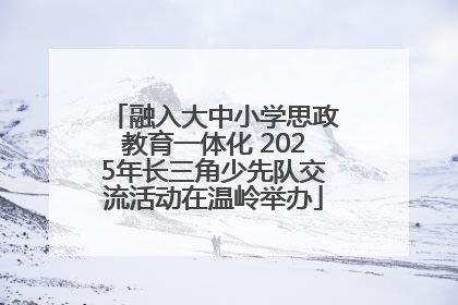融入大中小学思政教育一体化 2025年长三角少先队交流活动在温岭举办