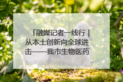 融媒记者一线行｜从本土创新向全球进击——我市生物医药产业破茧突围