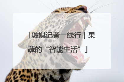 融媒记者一线行｜果蔬的“智能生活”