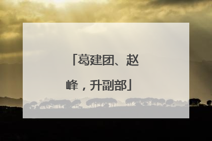 葛建团、赵峰，升副部