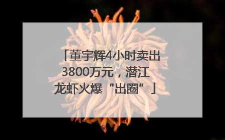 董宇辉4小时卖出3800万元，潜江龙虾火爆“出圈”