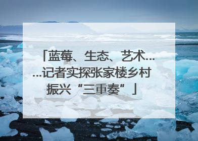 蓝莓、生态、艺术……记者实探张家楼乡村振兴“三重奏”