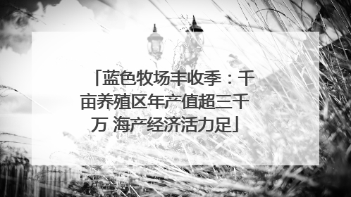 蓝色牧场丰收季：千亩养殖区年产值超三千万 海产经济活力足