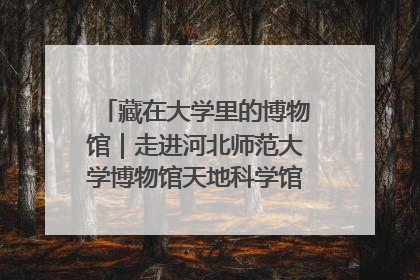 藏在大学里的博物馆｜走进河北师范大学博物馆天地科学馆：在校园里赴一场“宇宙之约”