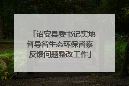 诏安县委书记实地督导省生态环保督察反馈问题整改工作