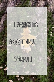 许勤到哈尔滨工业大学调研