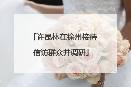 许昆林在徐州接待信访群众并调研