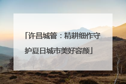 许昌城管：精耕细作守护夏日城市美好容颜
