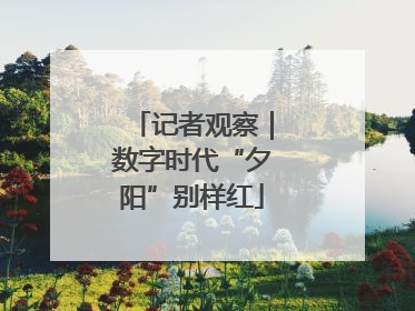 记者观察｜数字时代“夕阳”别样红