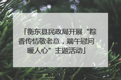 衡东县民政局开展“粽香传情敬老意，端午慰问暖人心”主题活动