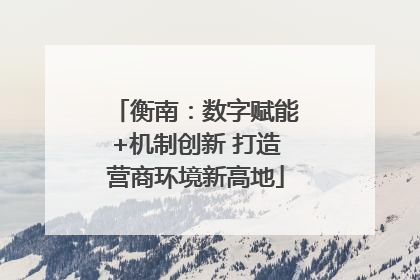 衡南：数字赋能+机制创新 打造营商环境新高地