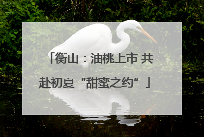衡山：油桃上市 共赴初夏“甜蜜之约”