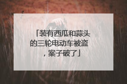 装有西瓜和蒜头的三轮电动车被盗，案子破了