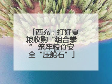 西充：打好夏粮收购“组合拳” 筑牢粮食安全“压舱石”