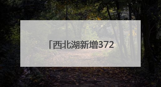 西北湖新增372个地下智能停车位，地上变小游园