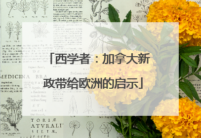 西学者：加拿大新政带给欧洲的启示