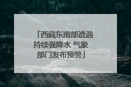 西藏东南部遭遇持续强降水 气象部门发布预警