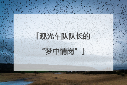 观光车队队长的“梦中情岗”
