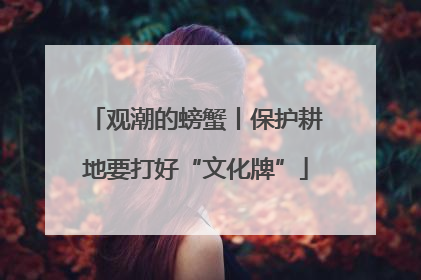 观潮的螃蟹丨保护耕地要打好“文化牌”