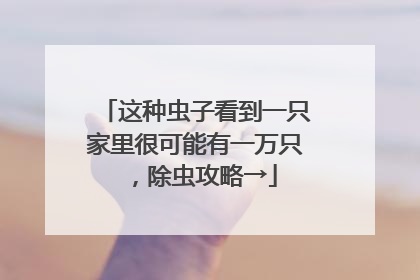 这种虫子看到一只家里很可能有一万只，除虫攻略→