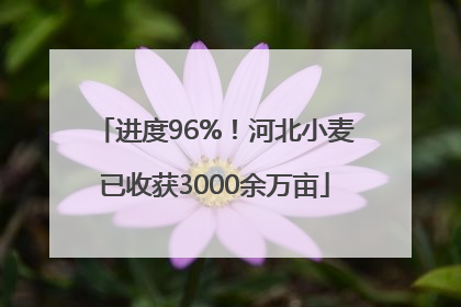 进度96%！河北小麦已收获3000余万亩