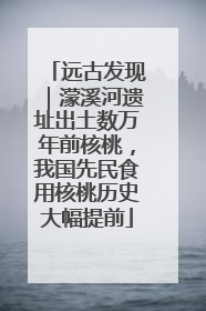 远古发现｜濛溪河遗址出土数万年前核桃，我国先民食用核桃历史大幅提前