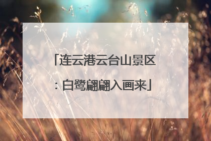 连云港云台山景区：白鹭翩翩入画来