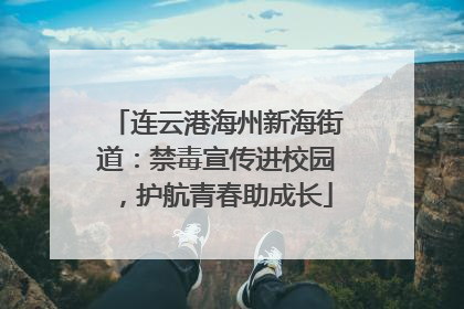 连云港海州新海街道：禁毒宣传进校园，护航青春助成长