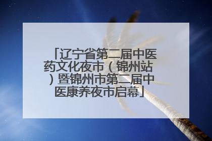 辽宁省第二届中医药文化夜市（锦州站）暨锦州市第二届中医康养夜市启幕