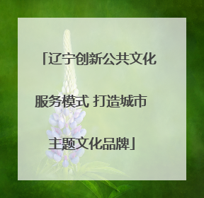 辽宁创新公共文化服务模式 打造城市主题文化品牌