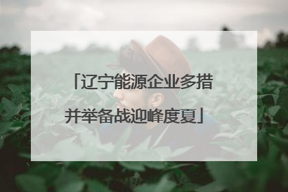 辽宁能源企业多措并举备战迎峰度夏
