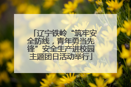 辽宁铁岭“筑牢安全防线，青年勇当先锋”安全生产进校园主题团日活动举行