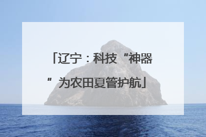 辽宁：科技“神器”为农田夏管护航